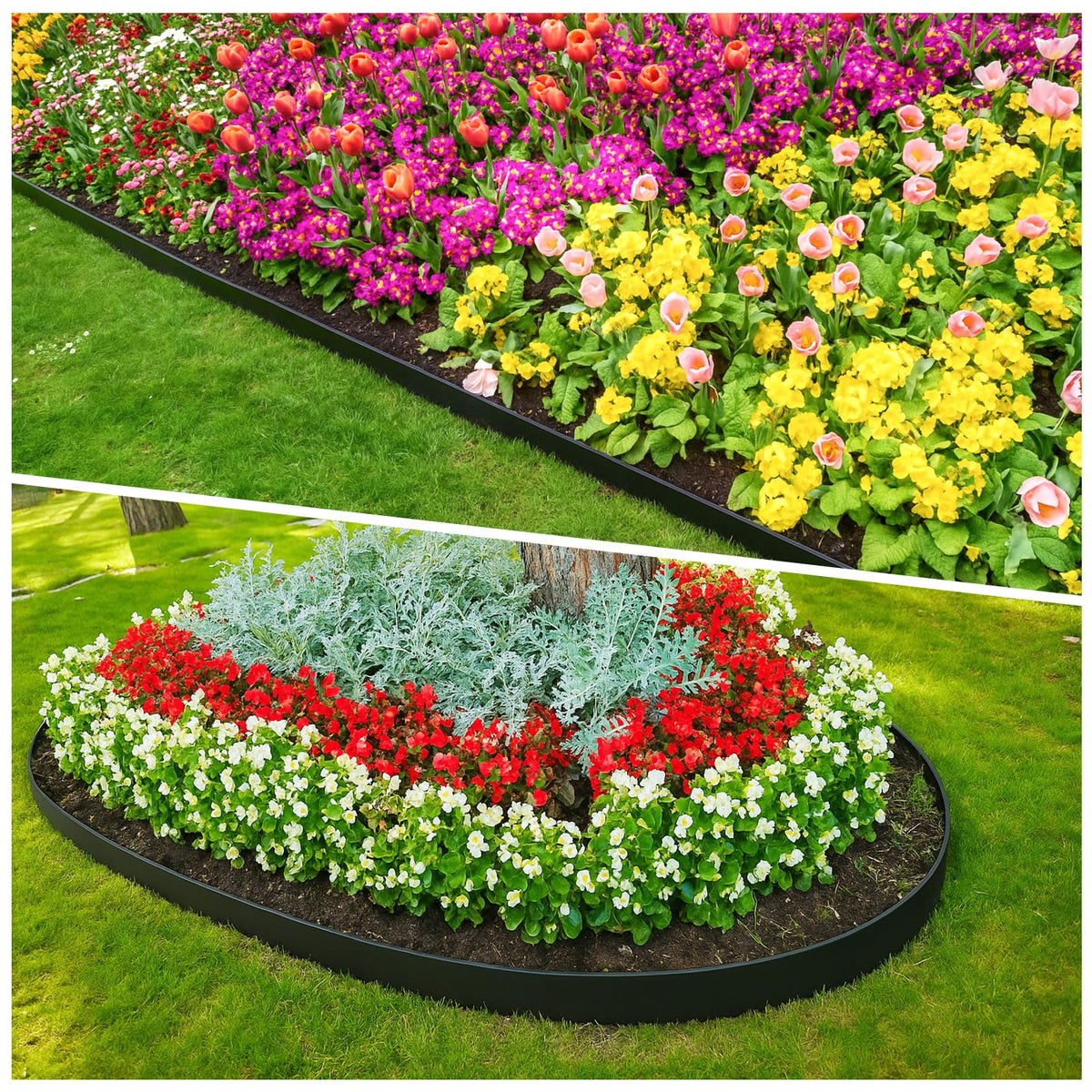 MIXC border application across yard and pathways for versatile edging