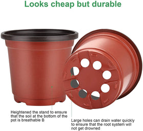 MIXC nursery pot bottom with eight drainage holes for healthy roots.