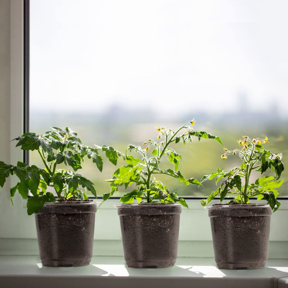 MIXC plant labels included help tracking seedlings and care routines.