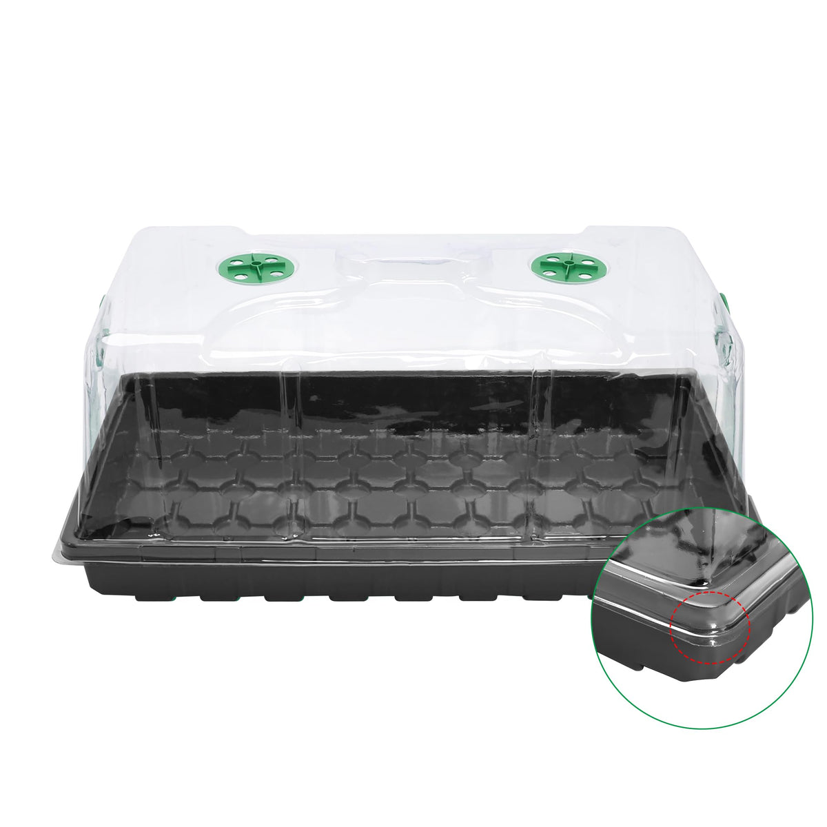 MIXC propagation setup with dome accelerates germination potential