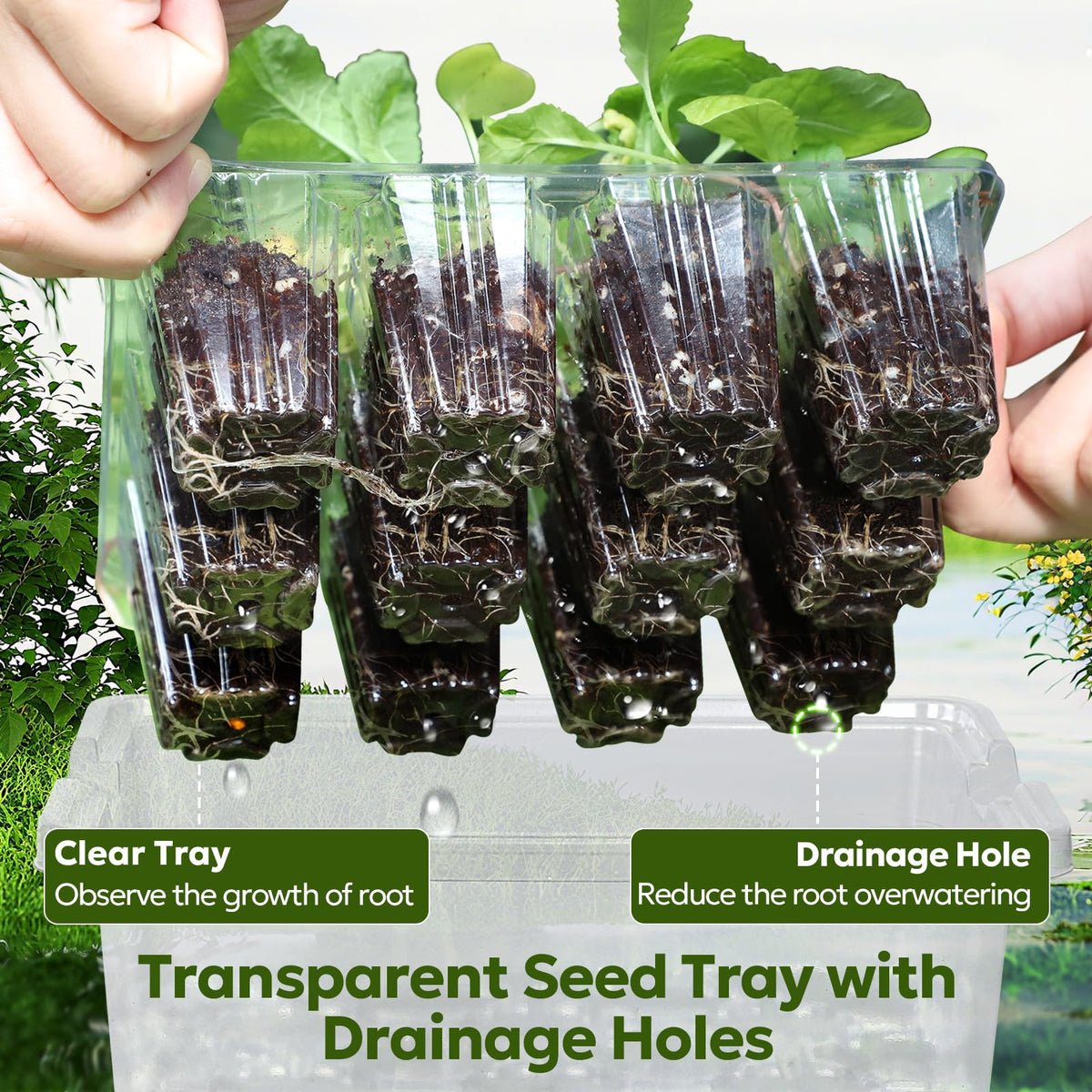 MIXC clear cell tray lets you monitor root development while watering