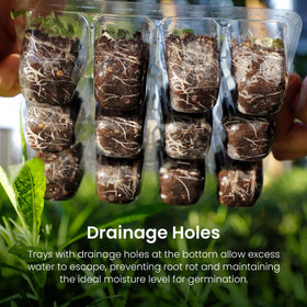 MIXC drainage holes prevent overwatering and promote balanced moisture