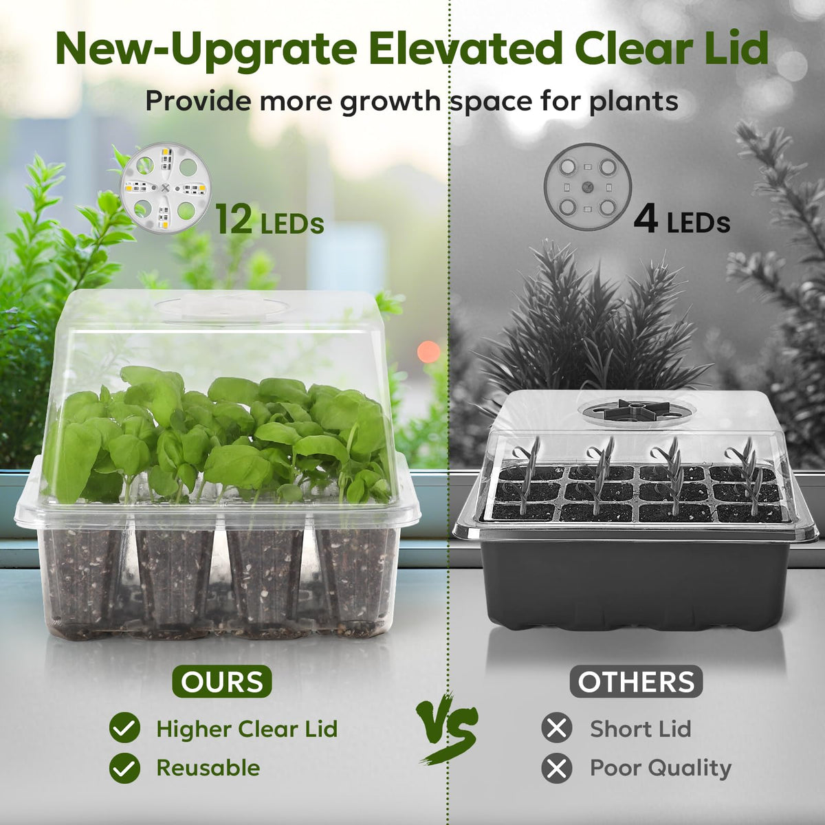MIXC elevated humidity dome provides space and a stable microclimate for seedlings