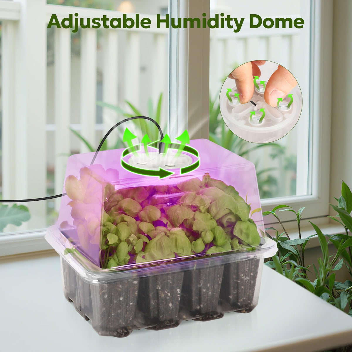 MIXC full-spectrum LED lights mimic sunlight to support seedling growth