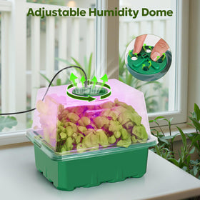 MIXC full spectrum LEDs simulate sunlight for steady growth.