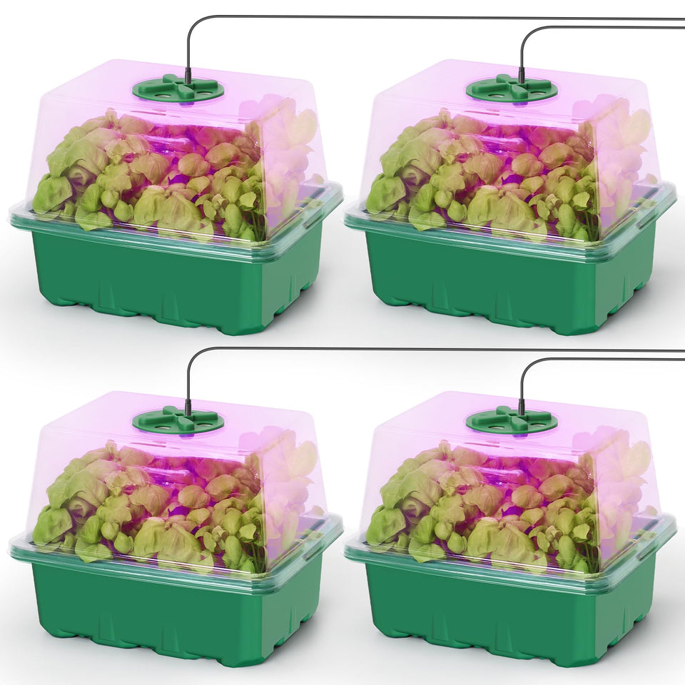 MIXC seed starter kit with grow light for indoor seed germination