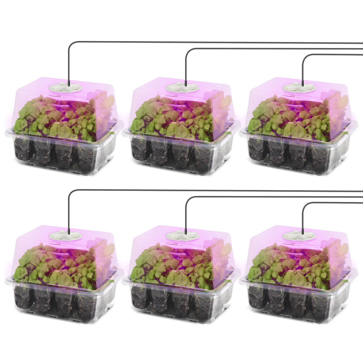 MIXC seed starter kit grow light illuminates indoor seedlings for healthier early growth