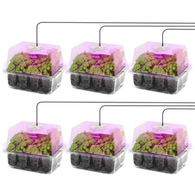 MIXC seed starter kit grow light illuminates indoor seedlings for healthier early growth