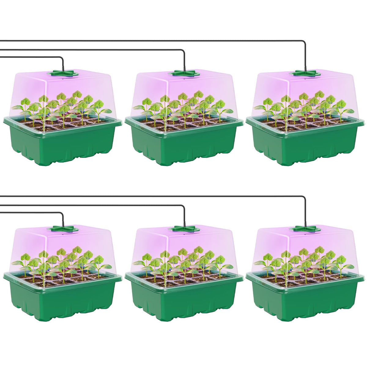 MIXC Seed Starter Kit with grow light for healthy indoor seedling growth.
