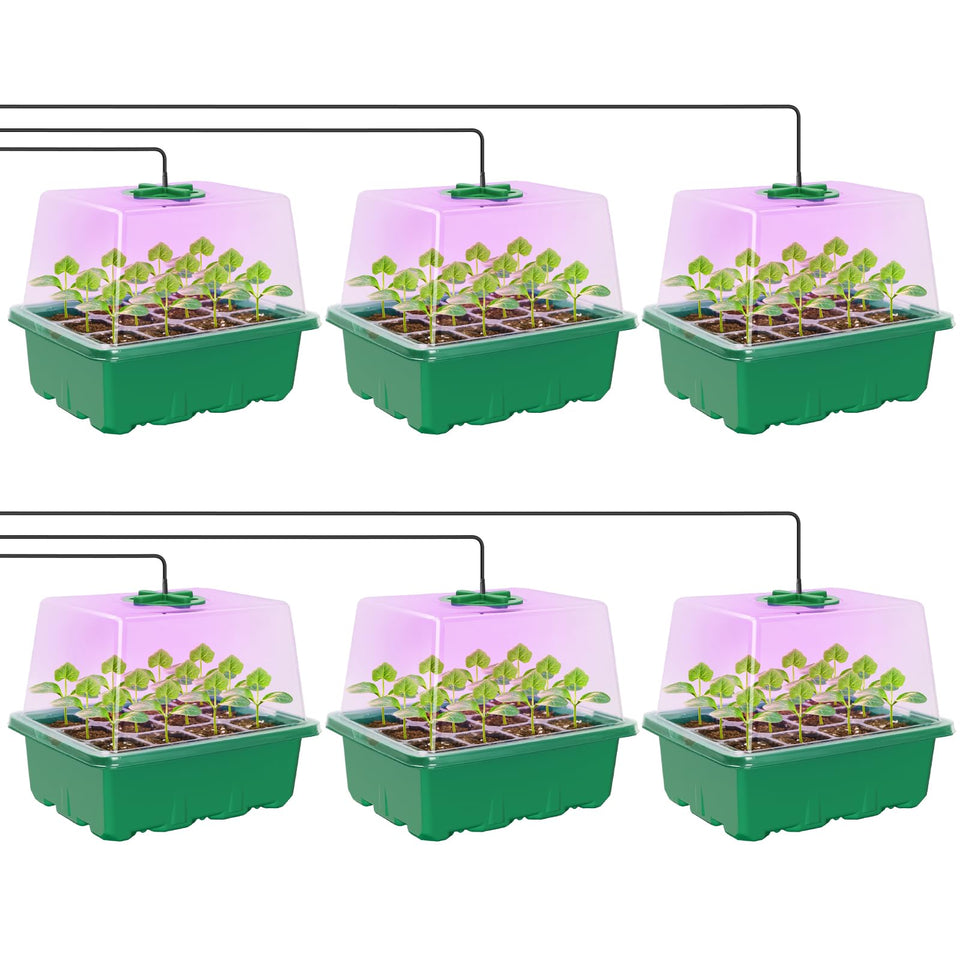 MIXC Seed Starter Kit with grow light for healthy indoor seedling growth.