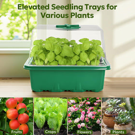 MIXC in-use seed starter kit setup ready for propagation.