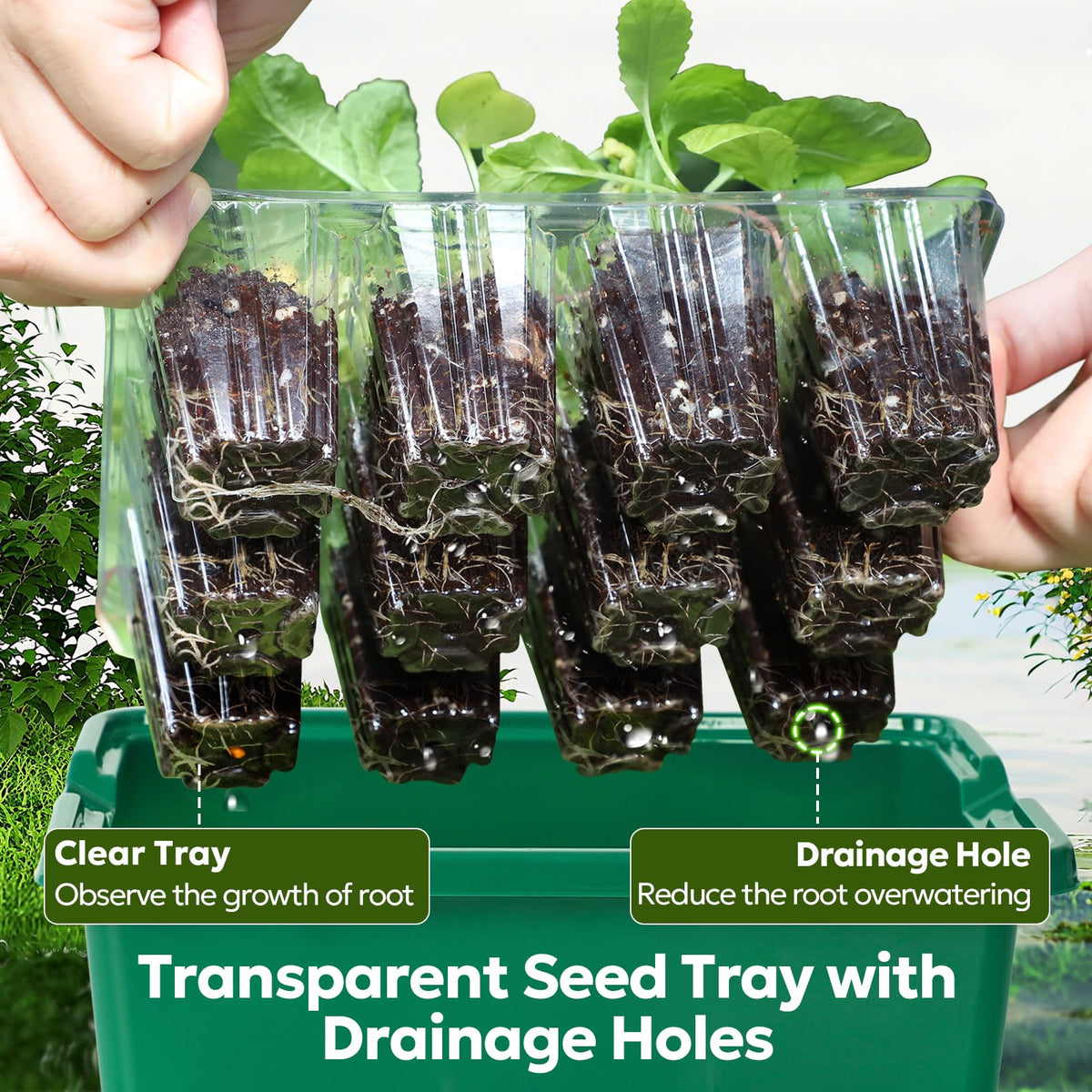 MIXC seed starter kit with side grips eases transplanting and handling.