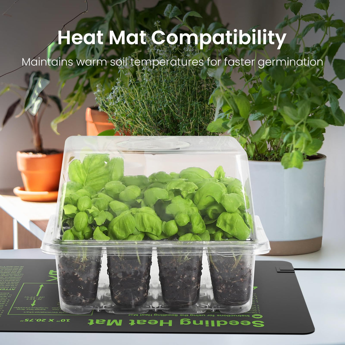 MIXC six pack indoor greenhouse kit offers a complete seed starting solution