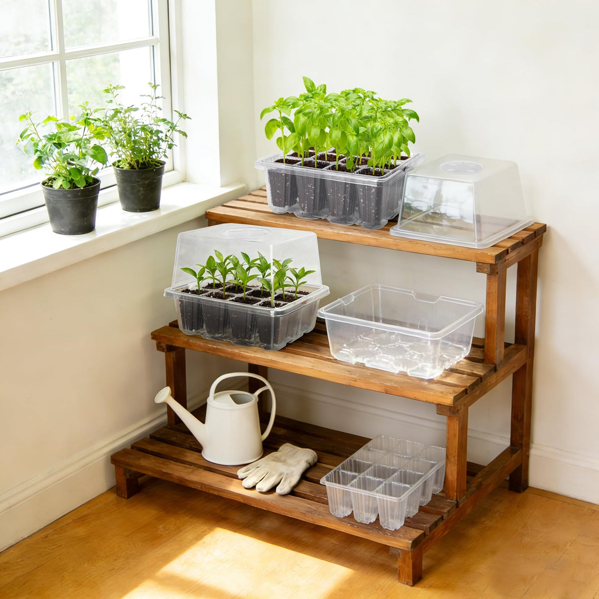 MIXC 10-pack seed starter kit includes trays and domes for beginners