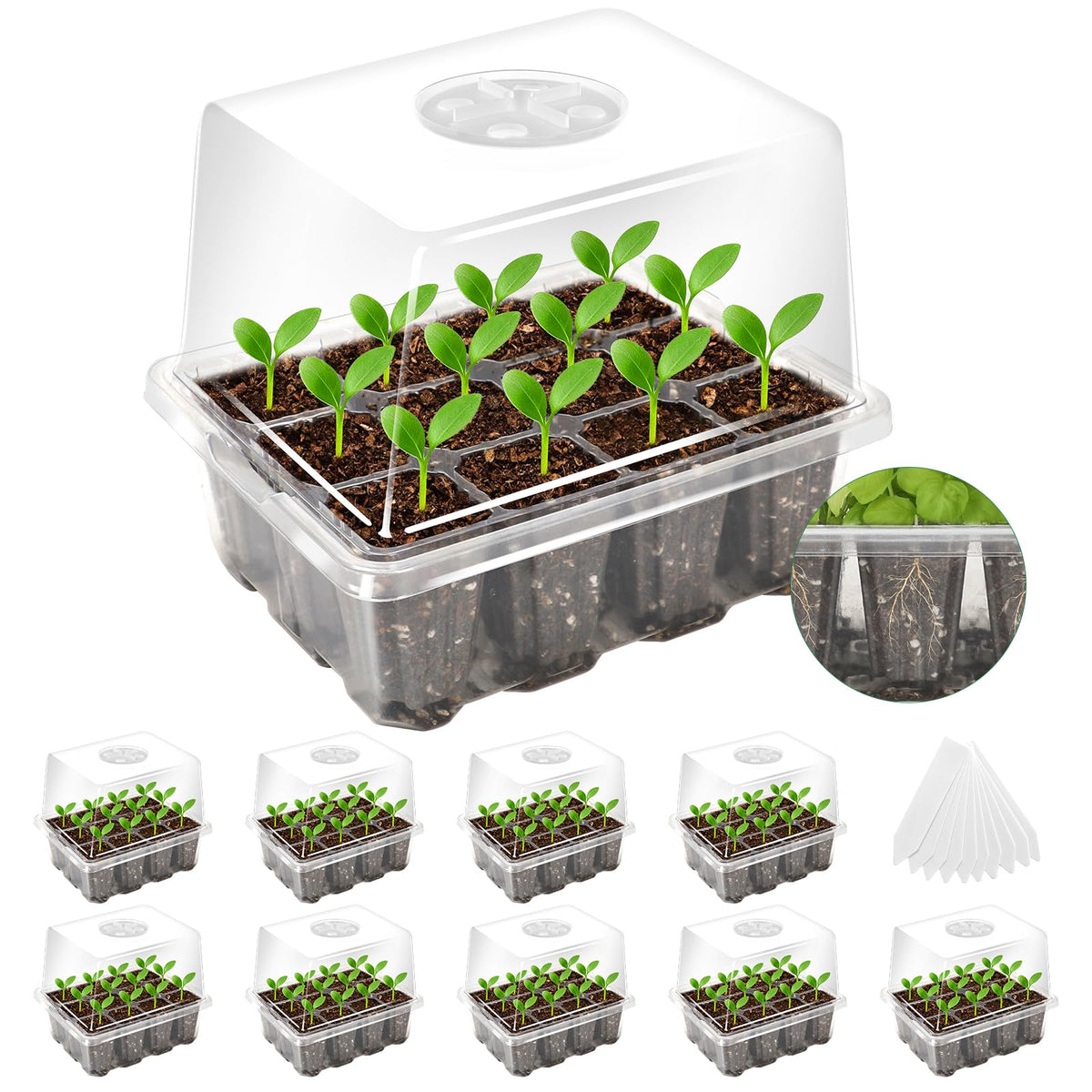 MIXC seed starter tray with elevated dome supports healthy germination
