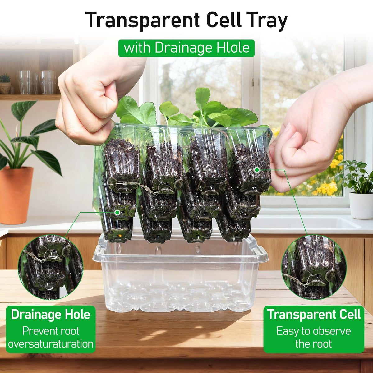 MIXC adjustable vent dome on seed starter tray for airflow management