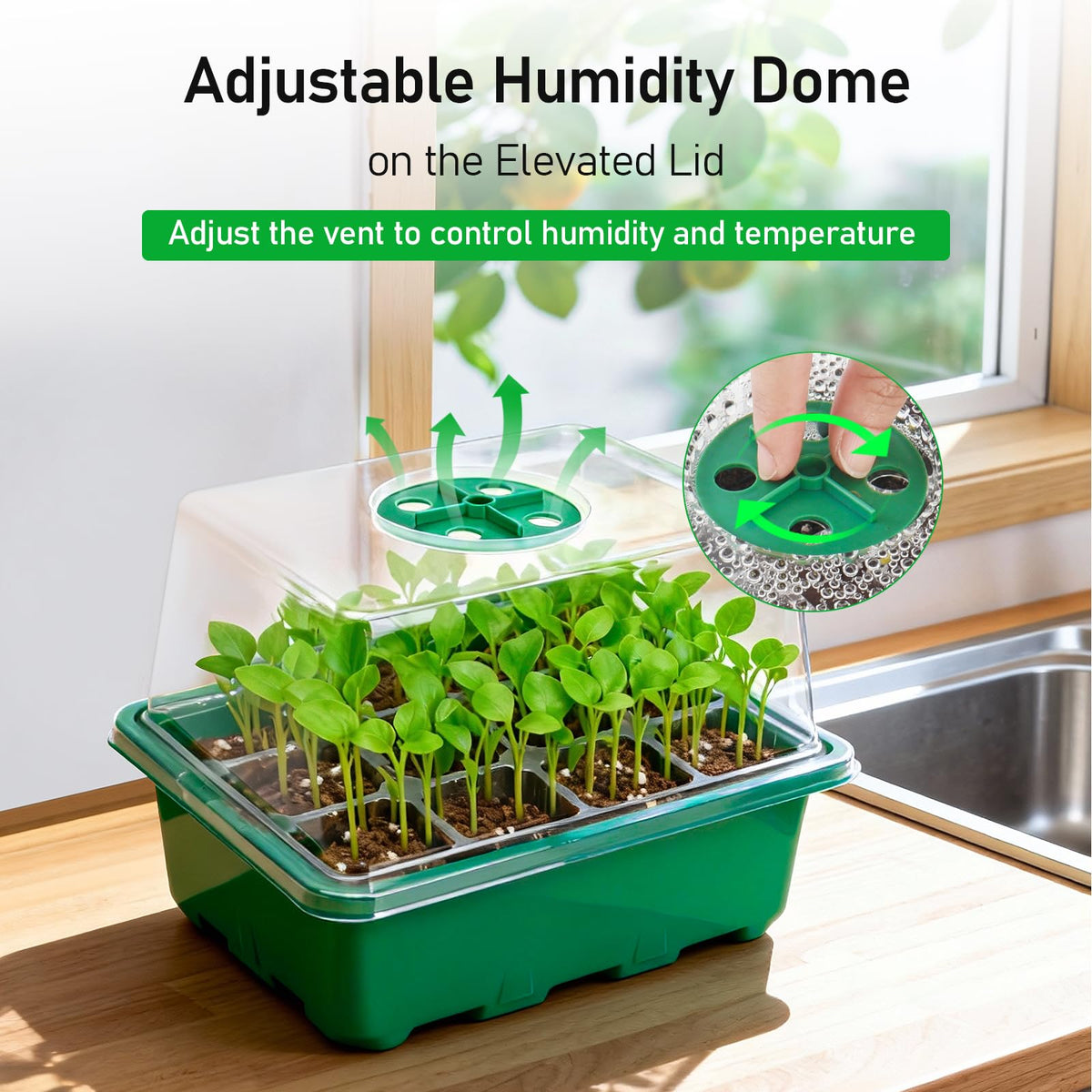 MIXC Seed tray with drainage holes prevents overwatering and supports healthy roots