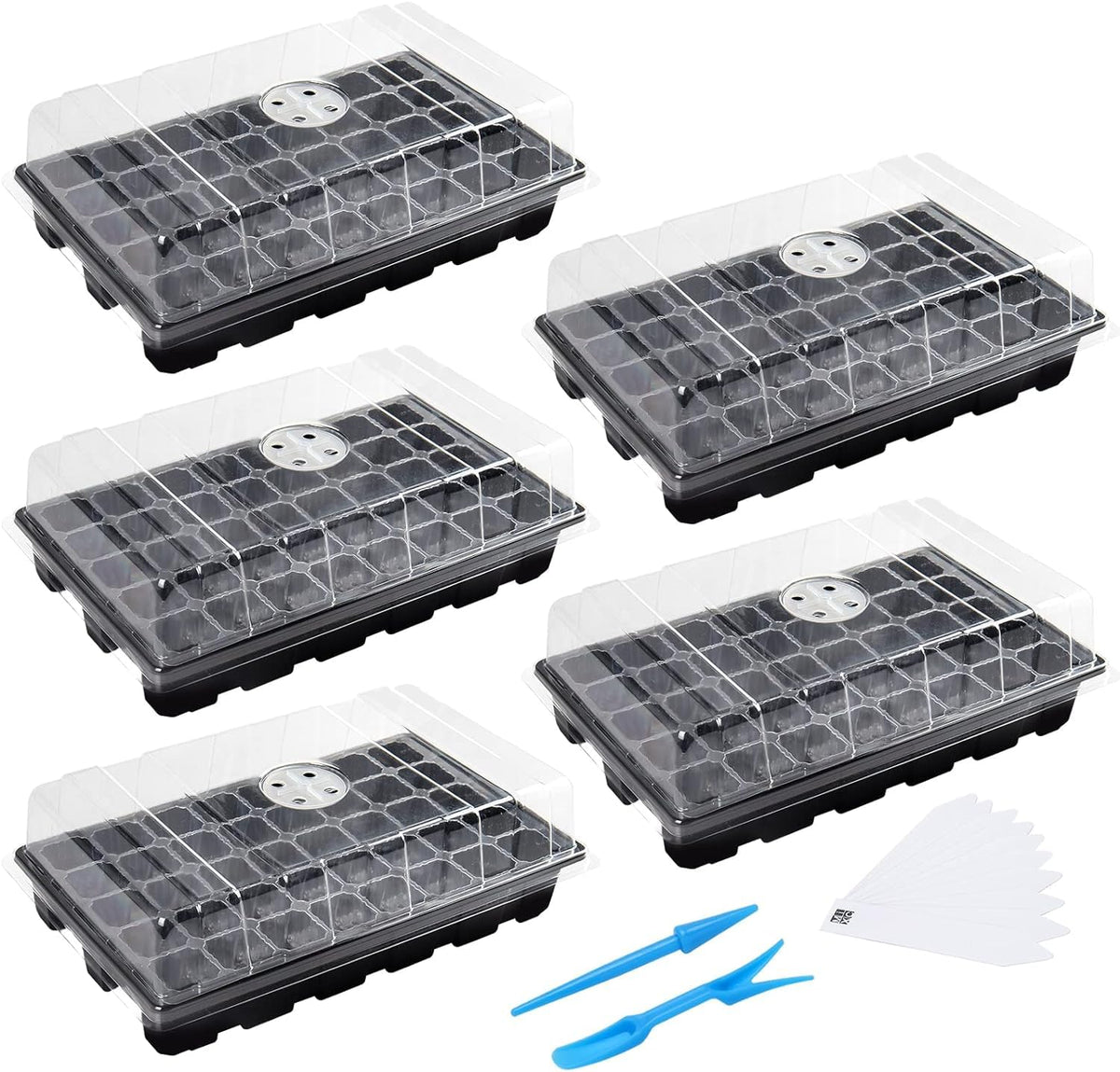 Mixc seed starter tray 40 cells top view for quick germination monitoring.