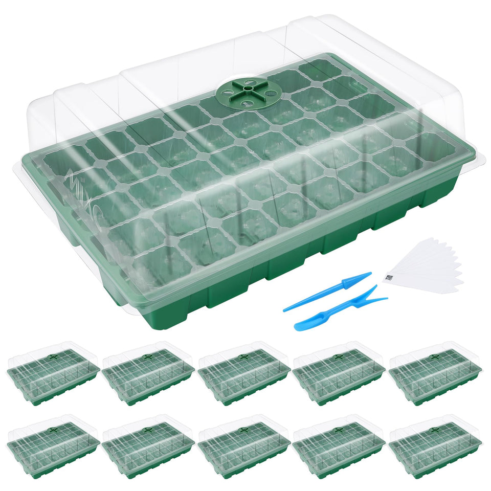 MIXC seedling tray with transparent cells for easy seed monitoring.