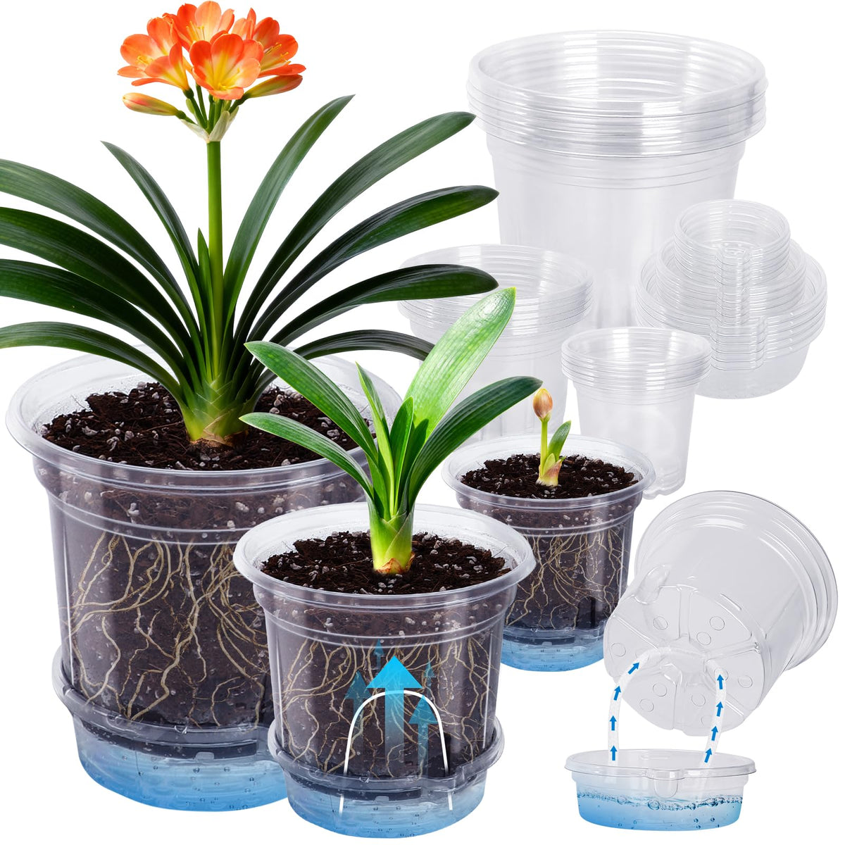 MIXC self-watering pots in clear 6.5/5/4 inch design for moisture checks