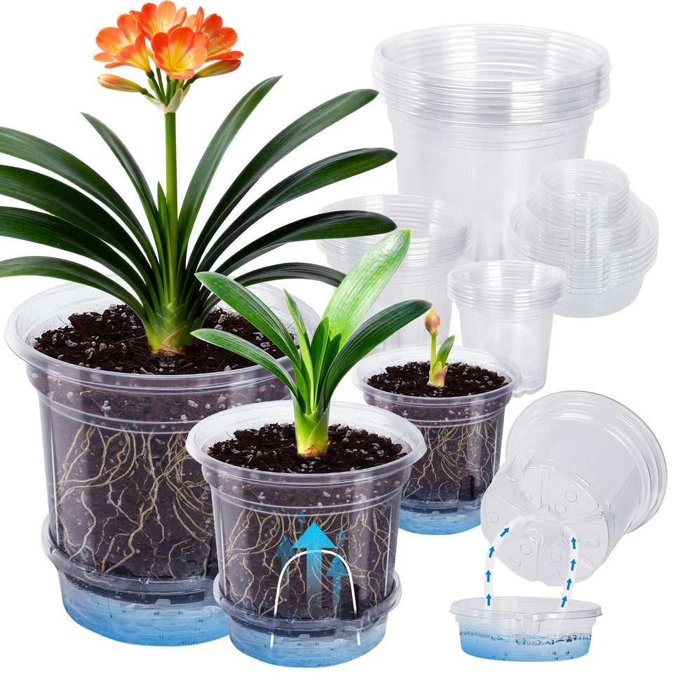 MIXC self-watering pots in clear 6.5/5/4 inch design for moisture checks