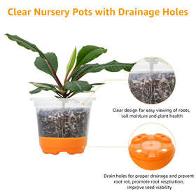 MIXC pot with bottom drainage holes promotes root ventilation.