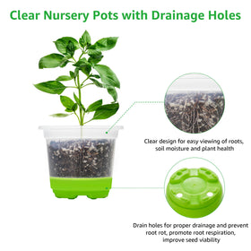 MIXC complete set of clear nursery pots arranged for seed starting and transplanting.