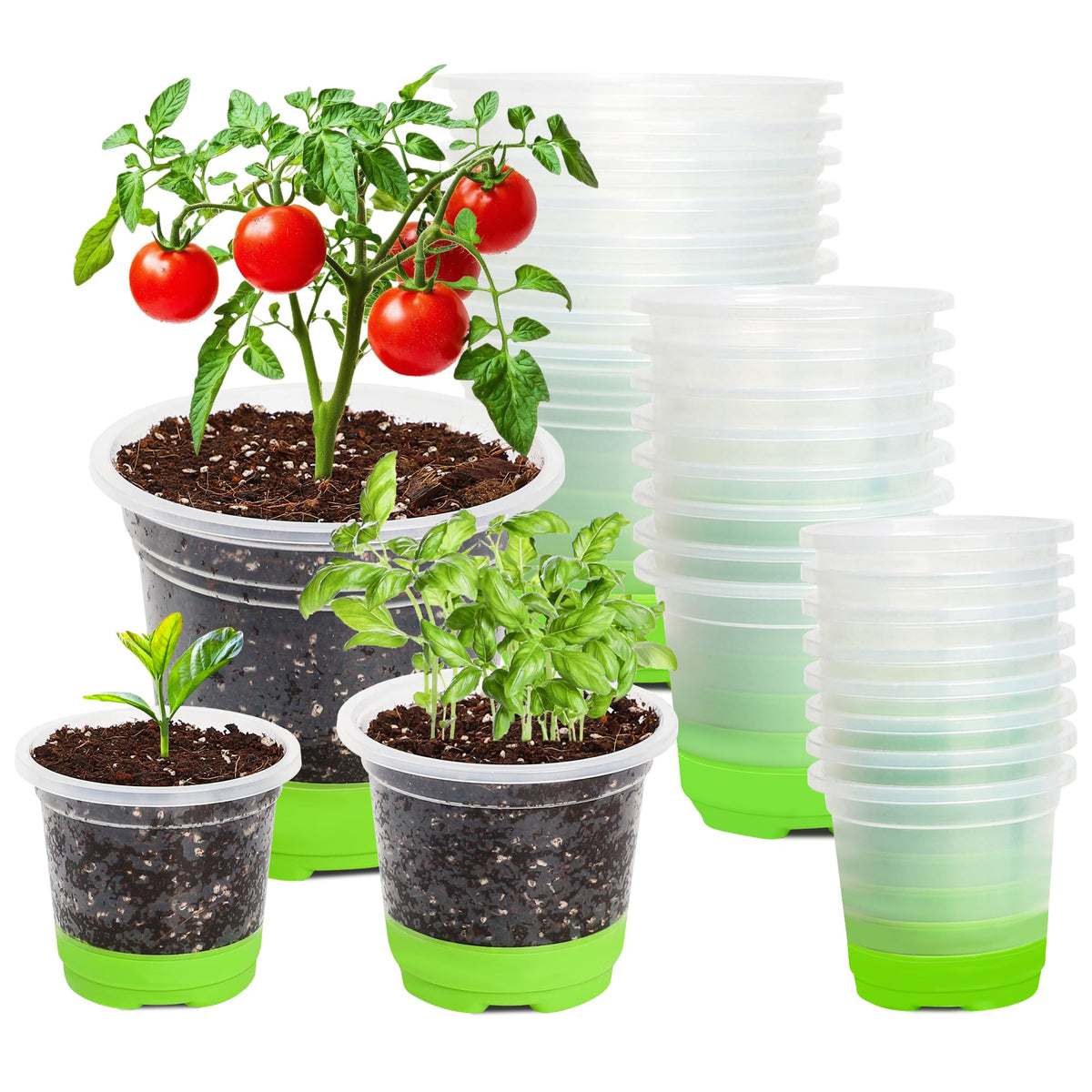 MIXC thickened clear nursery pot with silicone base close-up showing flexible bottom.
