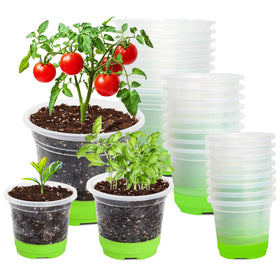 MIXC thickened clear nursery pot with silicone base close-up showing flexible bottom.