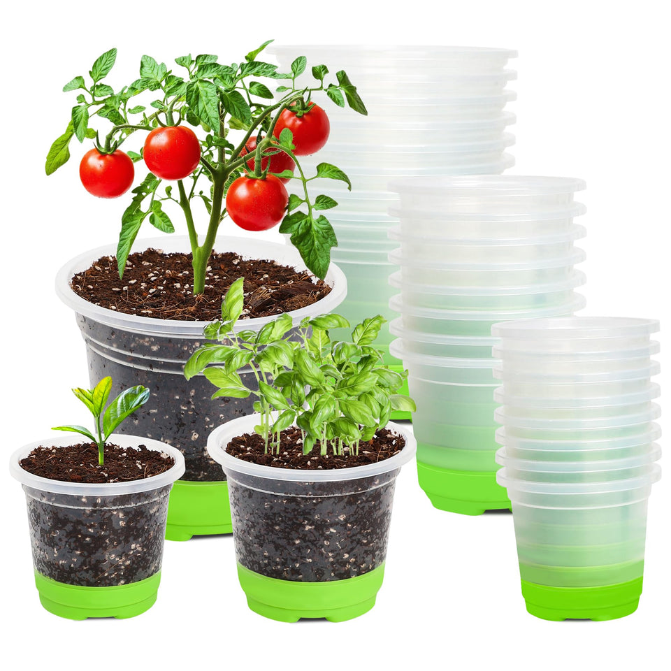 MIXC thickened clear nursery pot with silicone base close-up showing flexible bottom.