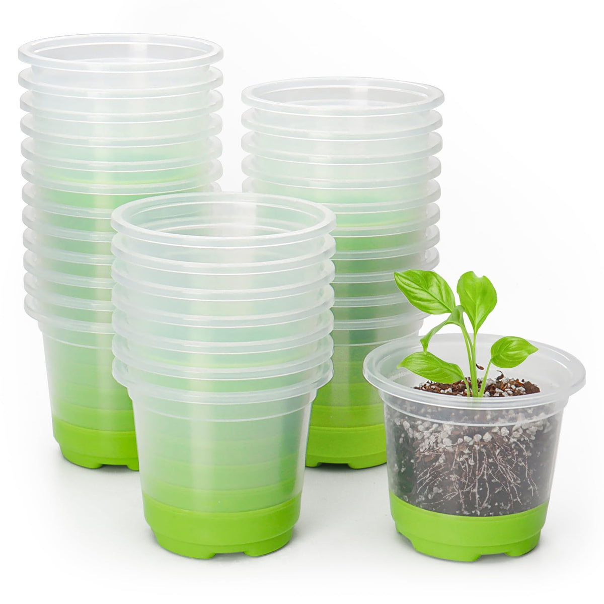 MIXC thickened clear nursery pot with silicone base for easy transplant