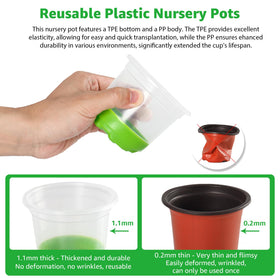 MIXC transparent nursery pot for easy root and moisture monitoring.