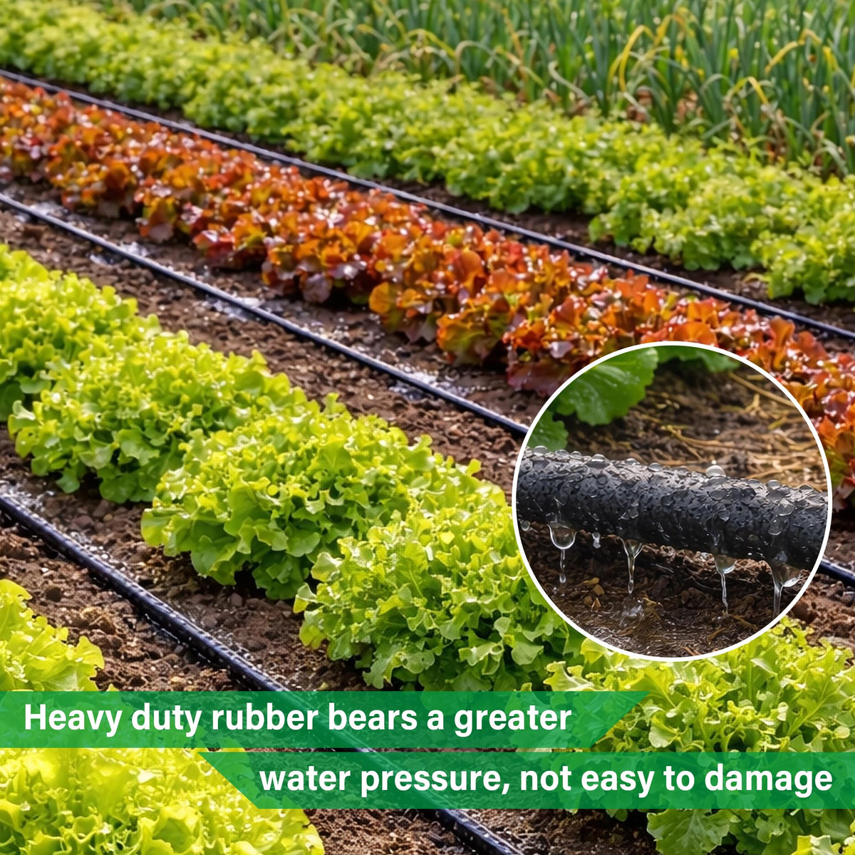 MIXC timer-compatible system enables automated watering with a compatible controller.