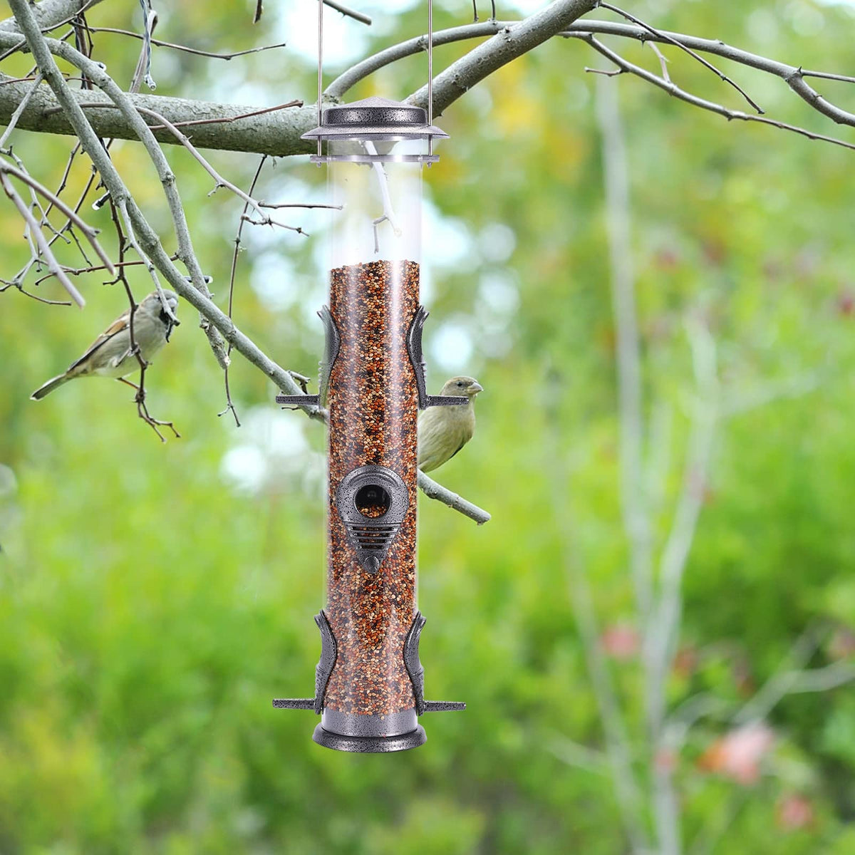MIXXIDEA attracts multiple bird species, adding life to your yard.