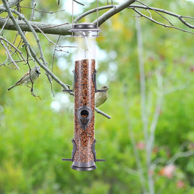 MIXXIDEA attracts multiple bird species, adding life to your yard.