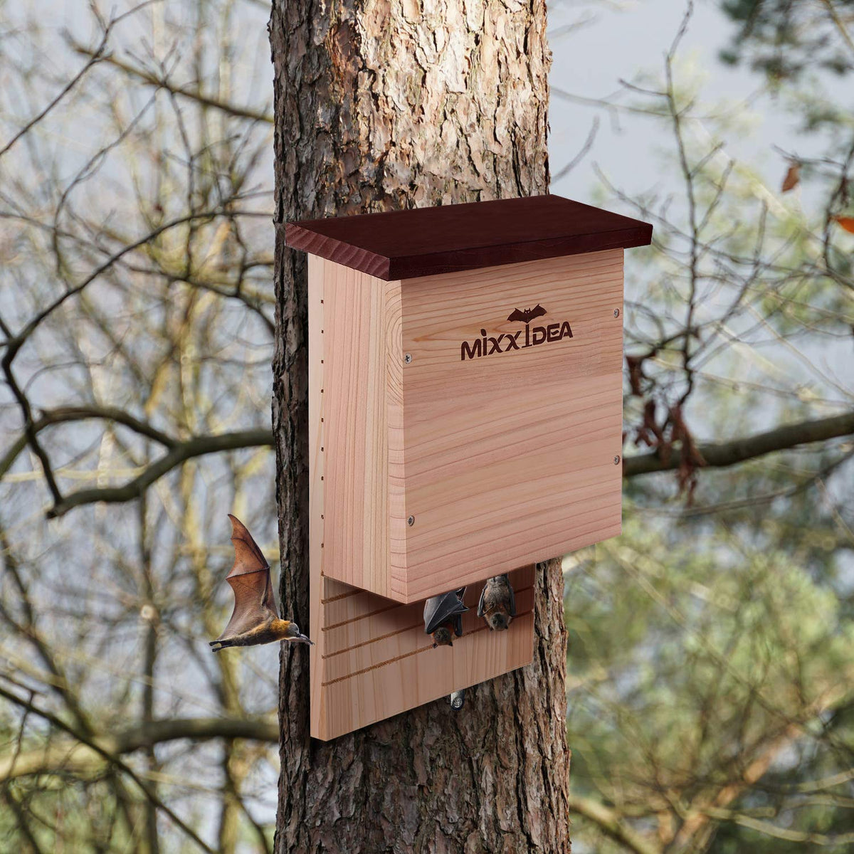 MIXXIDEA compact size supports small colonies at 11x3-5x15 inches.