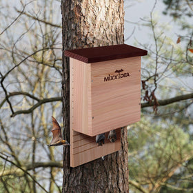 MIXXIDEA compact size supports small colonies at 11x3-5x15 inches.