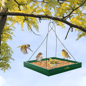 MIXXIDEA green outdoor feeder blends with garden decor while inviting birds.