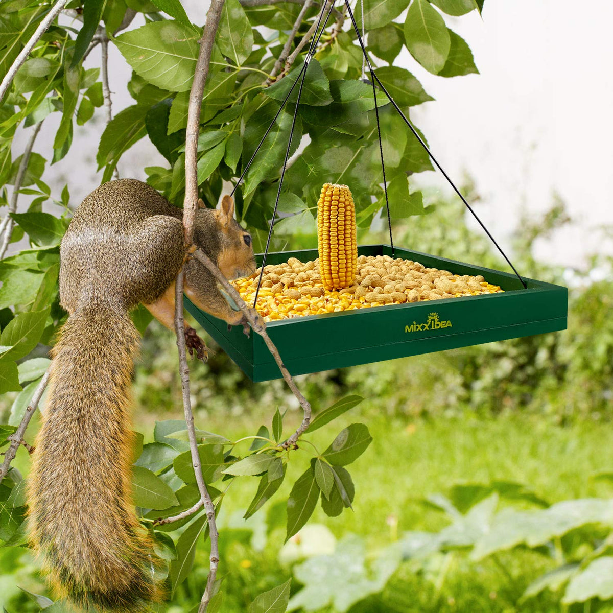 MIXXIDEA tray-style feeder stands securely against wind and weather conditions.