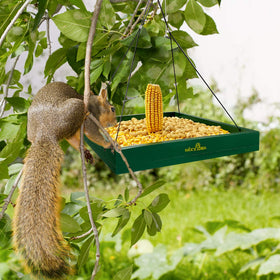 MIXXIDEA tray-style feeder stands securely against wind and weather conditions.