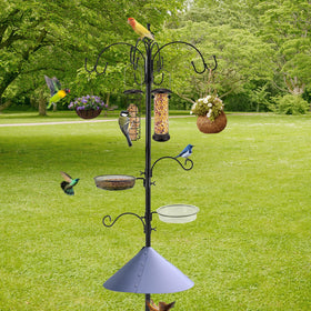 MIXXIDEA Deluxe Bird Feeding Station suet cage attracts varied visitors.