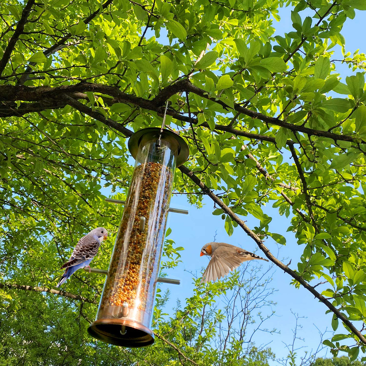 MIXXIDEA Finch Bird Feeder transparent-tube shows seed levels at a glance