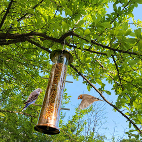 MIXXIDEA Finch Bird Feeder transparent-tube shows seed levels at a glance