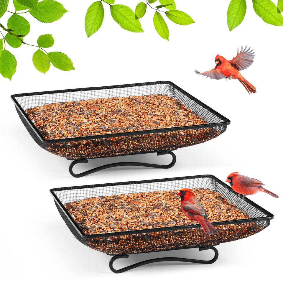 MIXXIDEA ground bird feeder tray on a garden path attracting birds