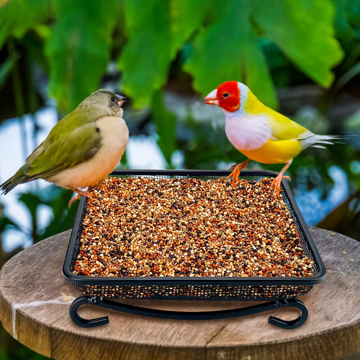 MIXXIDEA metal stand balanced base provides stable support during feeding