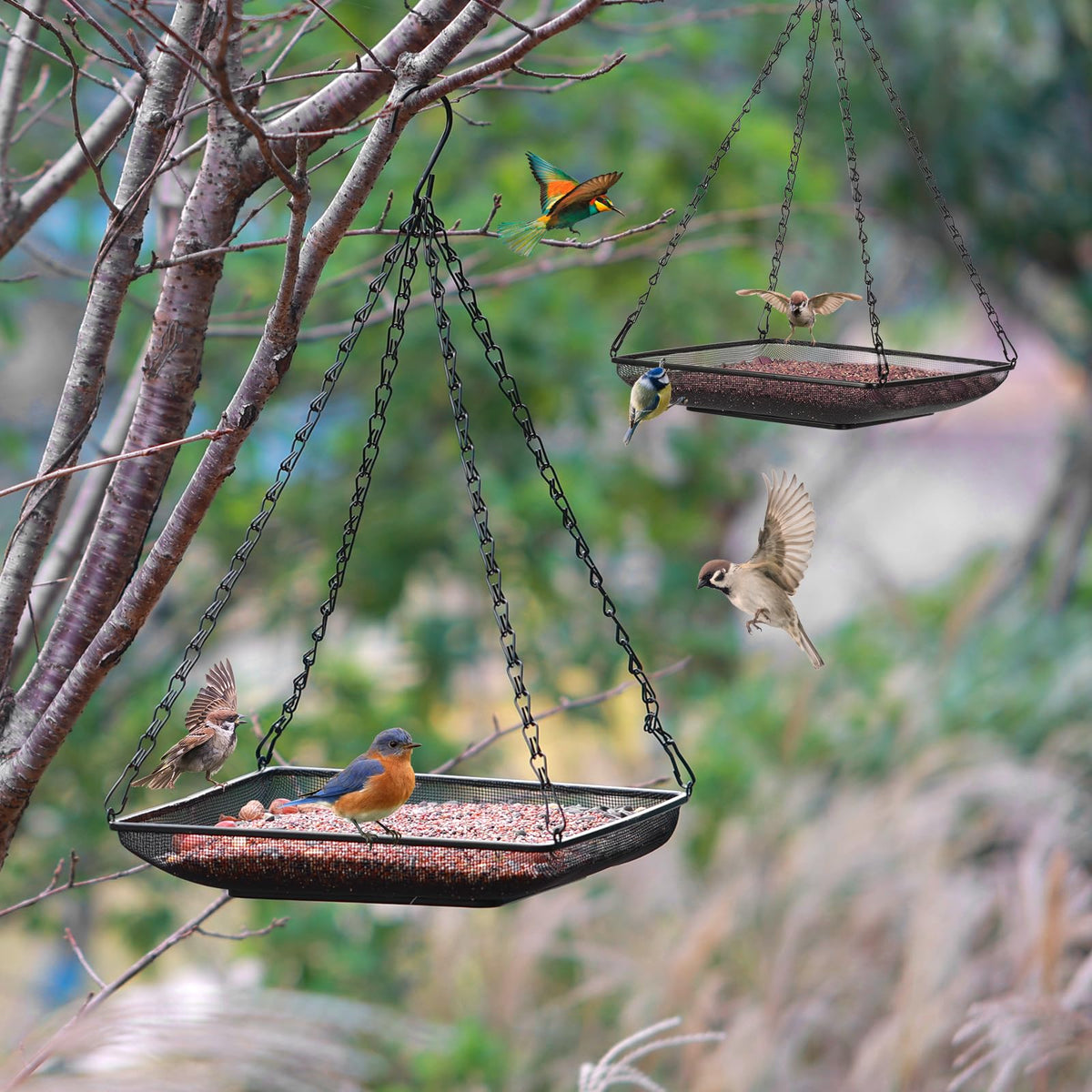 MIXXIDEA outdoor hanging setup with birds feeding on the tray