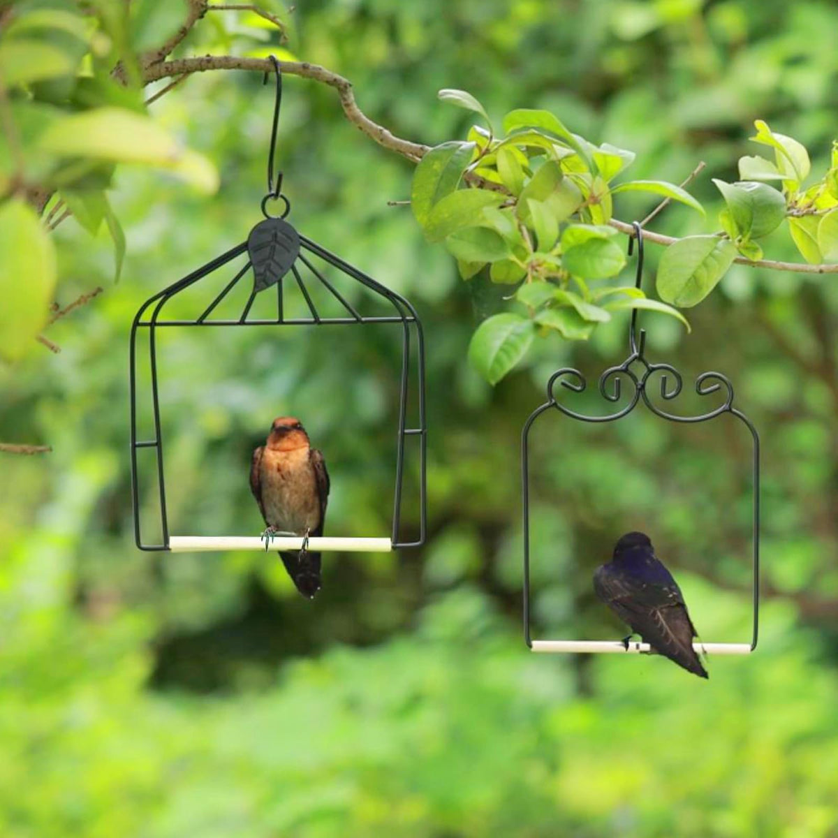 MIXXIDEA decorative bird swing with S hooks for easy hanging