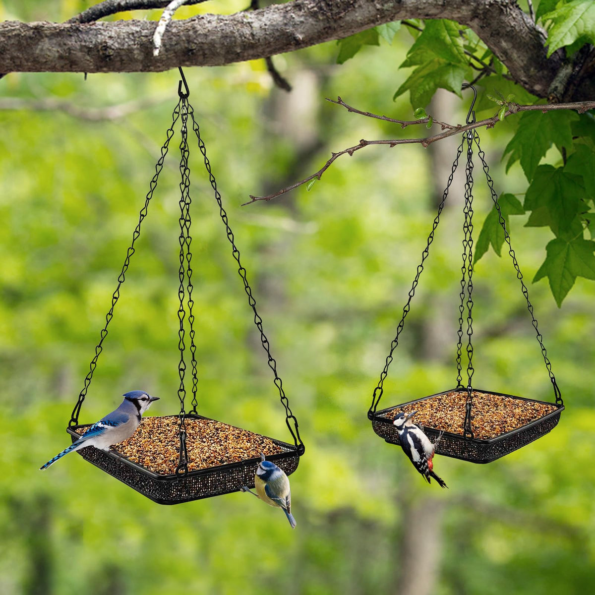MIXXIDEA seeds are visible for timely refills and varied bird attraction