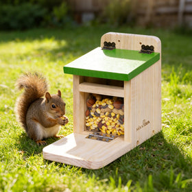 MIXXIDEA feeder installed on tree demonstrates stable outdoor installation