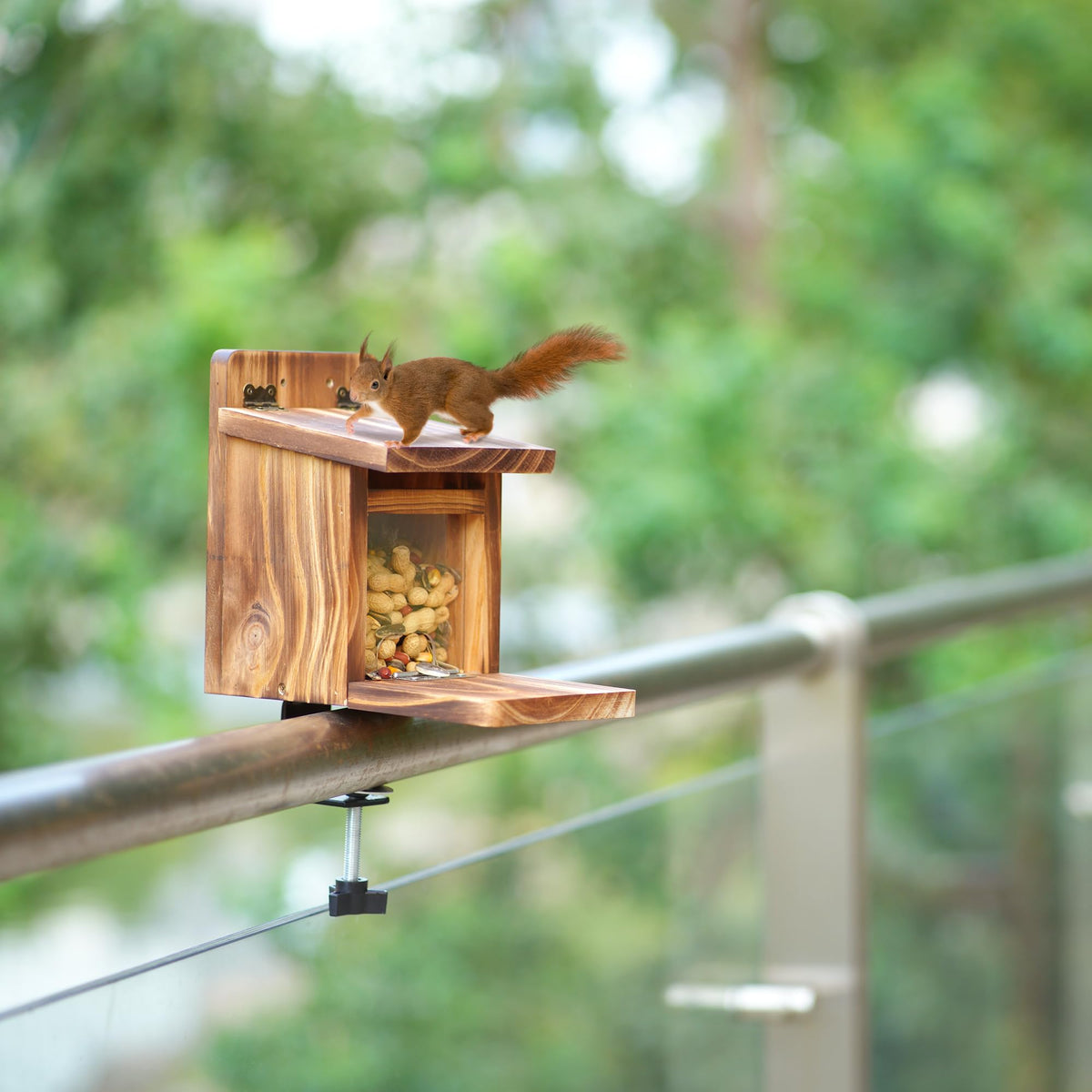 MIXXIDEA squirrel feeder mounted on a tree for natural viewing